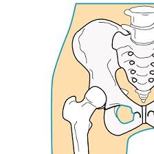 股関節と腰痛の関係