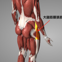 腰痛改善ストレッチ　大腿筋膜張筋