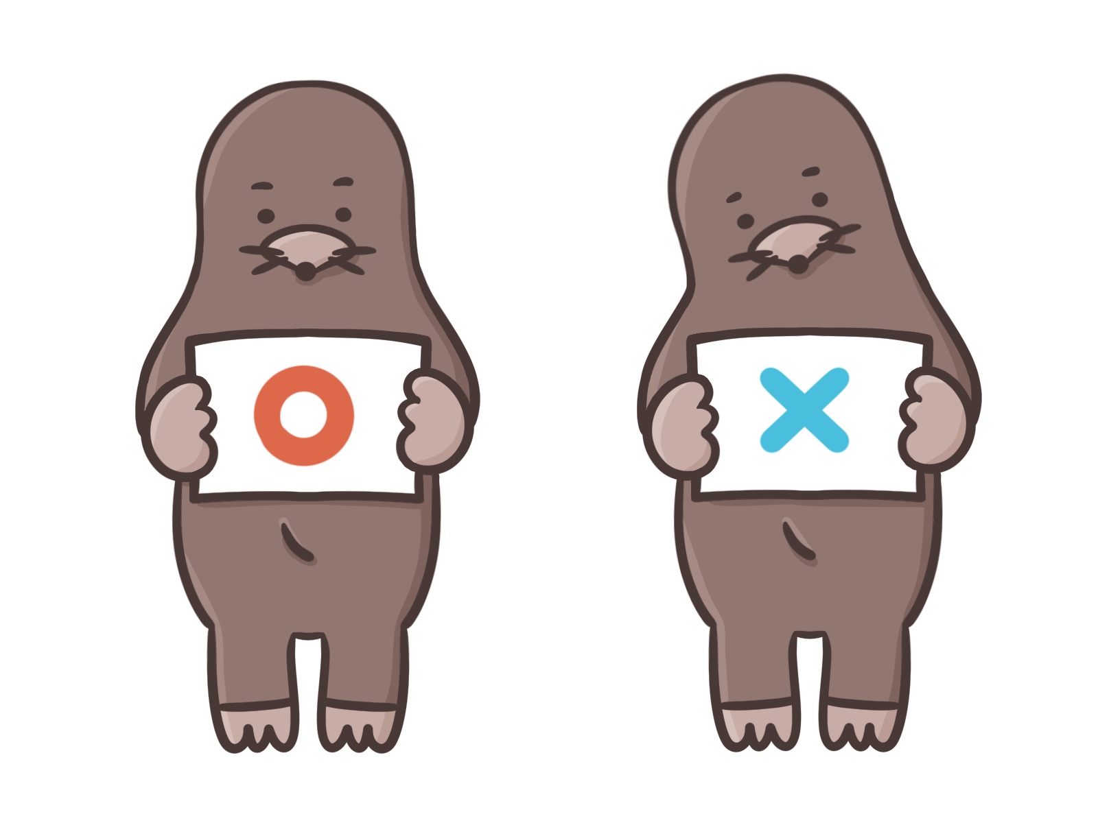 運動連鎖と「腰は被害者」の考え方