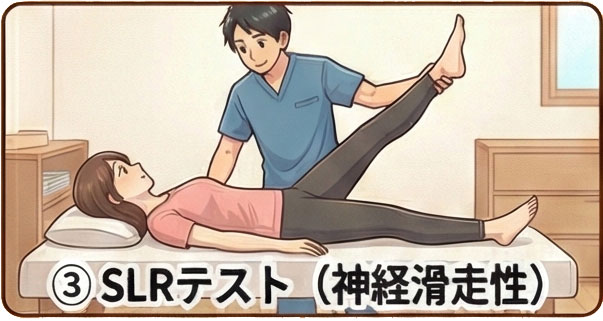 ③ SLRテスト（神経の滑走性確認）