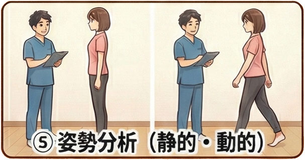 ⑤ 姿勢分析（静的・動的）