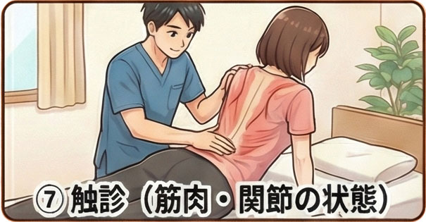 ⑦ 触診による筋肉・関節の状態確認